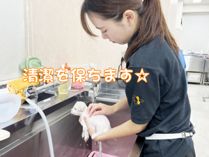 定期シャンプーでいつも清潔！